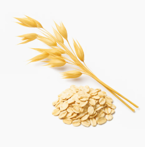 Oat Extract